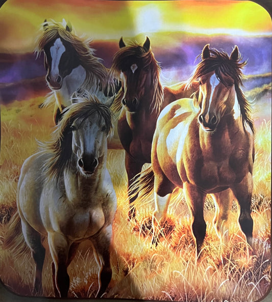 Sunrise Horses