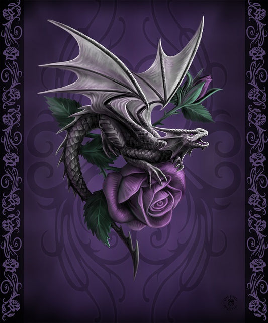 Dragon Beauty